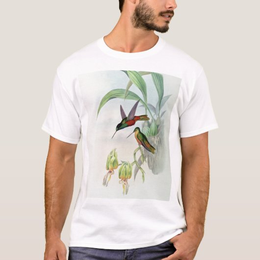 Bonaparte's Star Fronted Hummingbird (gekleurd) T-shirt (Voorkant)