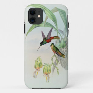 Bonaparte's Star-Fronted Kolibrie (gekleurde litho Case-Mate iPhone Case