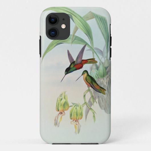Bonaparte's Star-Fronted Kolibrie (gekleurde litho Case-Mate iPhone Case (Achterkant)