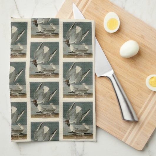 Bonapartian Gull uit Audubon's Birds of America Theedoek (Quarter Fold)