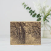 Bonaventura Cemetery, Savannah, Ga. c. 1863 Briefkaart (Staand voorkant)