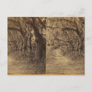 Bonaventura Cemetery, Savannah, Ga. c. 1863 Briefkaart