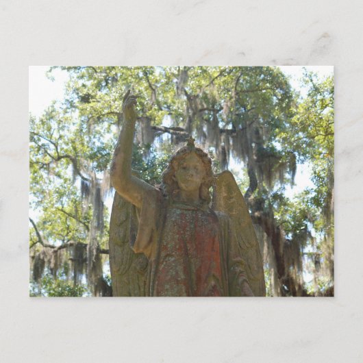Bonaventure begraafplaats, Savannah GA Briefkaart (Voorkant)