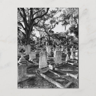 Bonaventure begraafplaats, Savannah GA Briefkaart