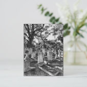 Bonaventure begraafplaats, Savannah GA Briefkaart (Staand voorkant)