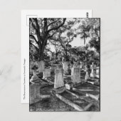 Bonaventure begraafplaats, Savannah GA Briefkaart (Voorkant / Achterkant)