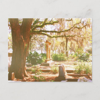 Bonaventure Cemetery Briefkaart