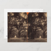 Bonaventure Cemetery, Savannah, Ga c. 1886 Briefkaart (Voorkant / Achterkant)