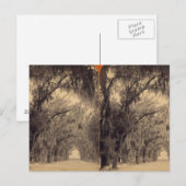 Bonaventure Cemetery, Savannah, Ga c. 1887 Briefkaart (Voorkant / Achterkant)