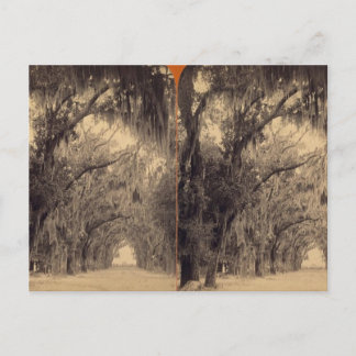 Bonaventure Cemetery, Savannah, Ga c. 1887 Briefkaart