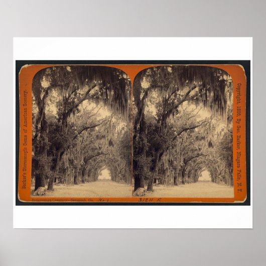 Bonaventure Cemetery, Savannah, Ga c. 1887 Poster (Voorkant)