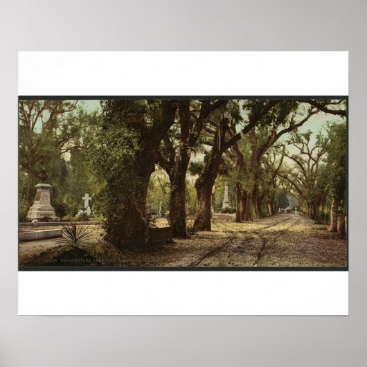 Bonaventure Cemetery, Savannah, Georgia circa 1901 Poster (Voorkant)