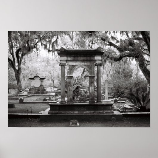 Bonaventure Cemetery Savannah Poster (Voorkant)