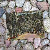 Bonaventure Drive Savannah GA retro Briefkaart