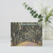 Bonaventure Drive Savannah GA retro Briefkaart (Staand voorkant)
