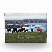 Bonavista Newfoundland Cattle Fotoblokken (Voorkant)
