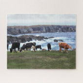 Bonavista Newfoundland Cattle Legpuzzel (Horizontaal)