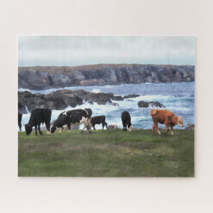 Bonavista Newfoundland Cattle Legpuzzel