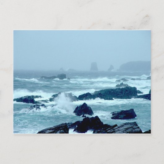Bonavista Storm Briefkaart (Voorkant)