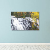 Bond Falls in de herfst bij Paulding, Michigan Canvas Afdruk (Insitu (Houten vloer))