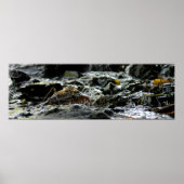 Bond Herfsten - Bovenste schiereiland Poster (Voorkant)