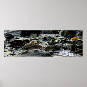 Bond Herfsten - Bovenste schiereiland Poster