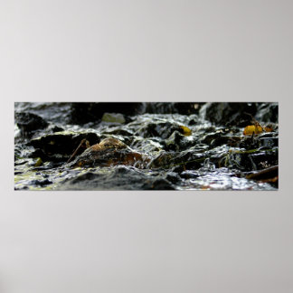 Bond Herfsten - Bovenste schiereiland Poster