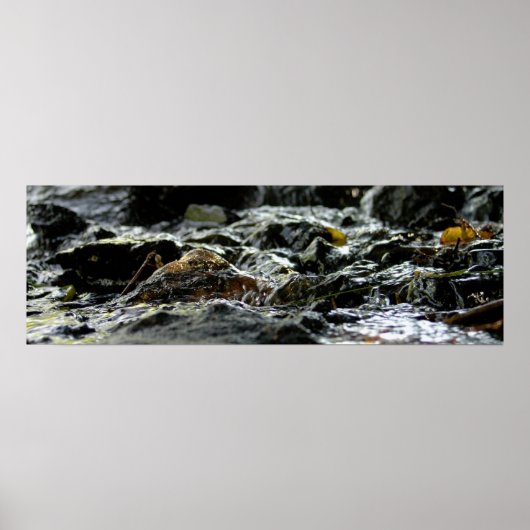 Bond Herfsten - Bovenste schiereiland Poster (Voorkant)