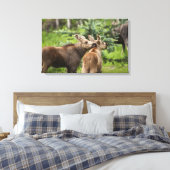 Bonded Moose Calves Canvas Afdruk (Insitu (Slaapkamer))