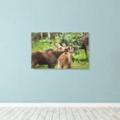Bonded Moose Calves Canvas Afdruk (Insitu (Houten vloer))
