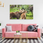 Bonded Moose Calves Canvas Afdruk (Insitu (Woonkamer))