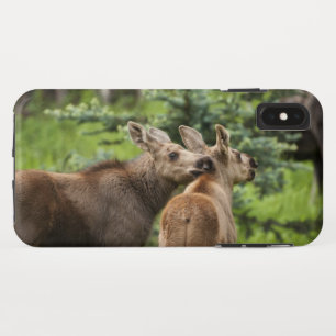 Bonded Moose Calves Case-Mate iPhone Case