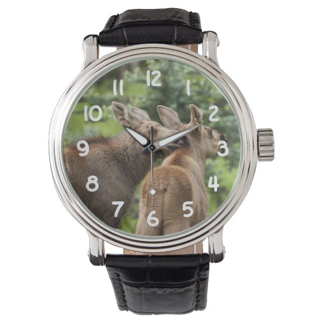 Bonded Moose Calves Horloge (Voorkant)