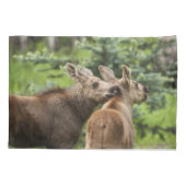 Bonded Moose Calves Kussensloop (Achterkant-Links)