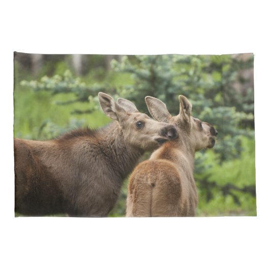 Bonded Moose Calves Kussensloop (Achterkant-Rechts)