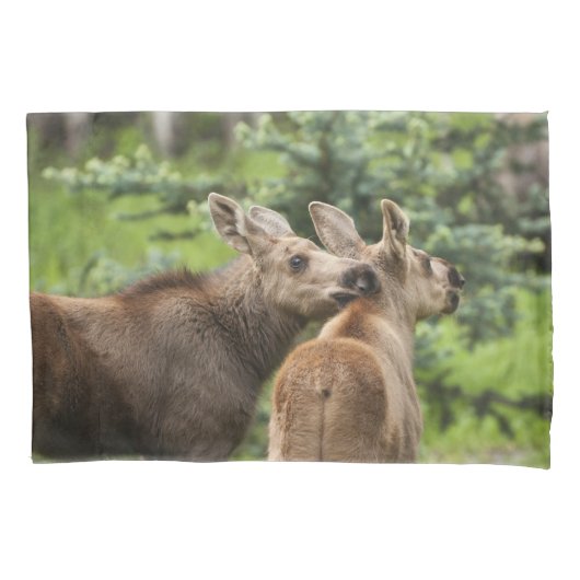Bonded Moose Calves Kussensloop (Voorkant-Links)
