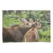 Bonded Moose Calves Kussensloop (Voorkant-Rechts)