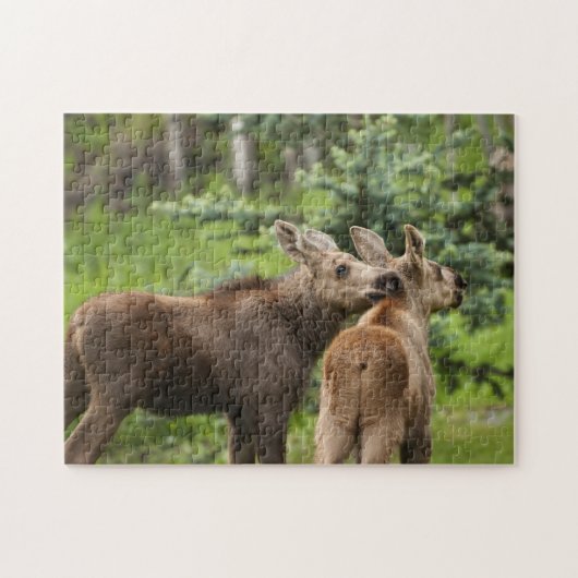 Bonded Moose Calves Legpuzzel (Horizontaal)