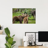 Bonded Moose Calves Poster (Thuiskantoor)