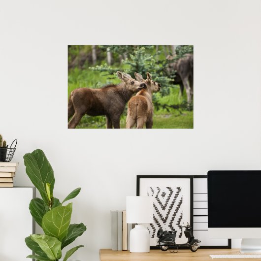 Bonded Moose Calves Poster (Thuiskantoor)