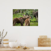 Bonded Moose Calves Poster (Keuken)