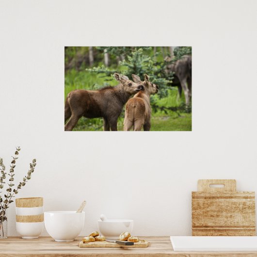 Bonded Moose Calves Poster (Keuken)