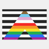 Bondgenoot Progress Pride Vlag Inpakpapier Vel (Voorkant)