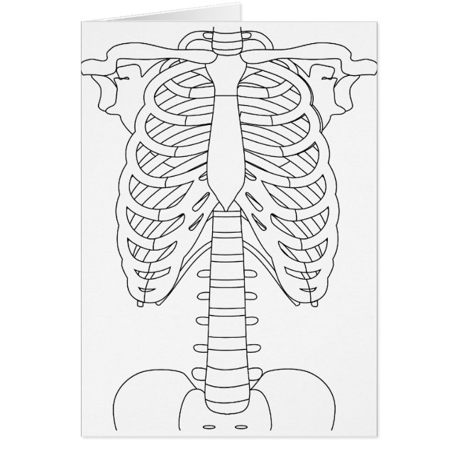bone_01 (Voorkant)