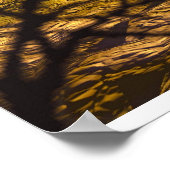 Bone Dance Poster (Hoek)