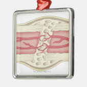 Bone die zichzelf herstelt 2 metalen ornament (Links)