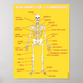Bone Names for 3-D Animators Poster (Voorkant)