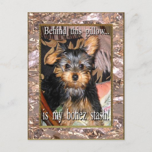 Bone Stash Yorkie Briefkaart (Voorkant)