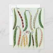 Bonen Briefkaart (Voorkant / Achterkant)