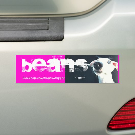 Bonen de Bumpersticker "ZOALS" (Op auto)